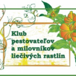 klub bylinkarov